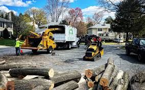 Reliable Wakefield, MI Tree Services Solutions